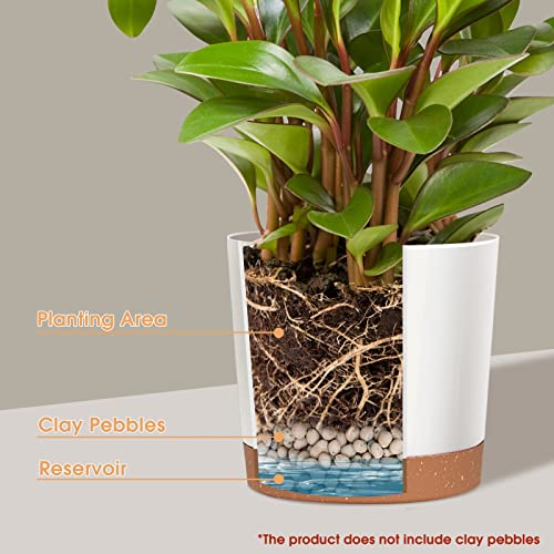 Kubvici Planters For Indoor Plants, 8 Inch Plant Pots 2 Pack Flower Pots With Drainage And Saucer For Indoor Outdoor Plants, Plastic Indoor Planter Garden Pot White 8” #TOP3