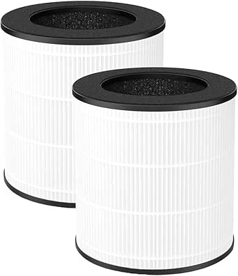 Amazon.com: JISIZKY Replacement Air Filter M03 B-D03 Compatible With ...