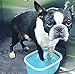 Warren London Deep Cleaning Paw Soak for Dogs – Soothes Itchy, Irritated Paws with Aloe Vera, Seaweed & Tea Tree Oil | Anti-Lick Paw Treatment | 5-Minute at-Home Spa for Dogs | 12 Fizzy Tablets