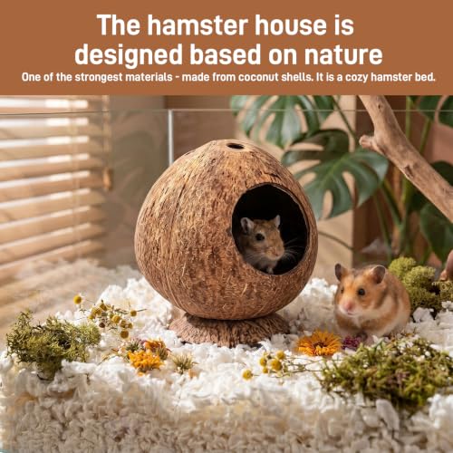 Cama para hámster de coco natural y refugio para hámsters pequeños 4