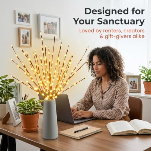 Image of DK177 10Pack Led Branch Light Battery Operated Lighted Branch Vase Filler Willow Tree Artificial Little Twig Power Brown 30 Inch 20 LED for Home Romantic Decoration, 10Pack Warm White