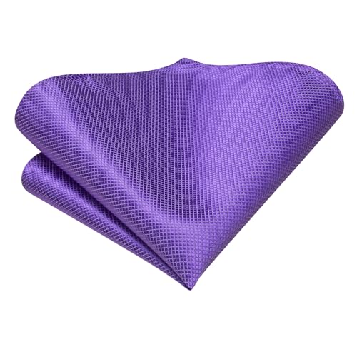 Image of Hi-Tie Mardi Gras Lavender Plaid Ties for Men Lapel Pin Set Pocket Square Cufflinks Formal Woven Silk Tie Sets Wedding Party