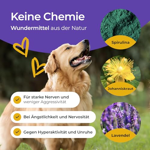 Hundpur Nerven 300 g - Zusatzfutter - Pellets für Hunde gegen Stress & Angst - Mit Johanniskraut, Lavendel & Magnesium - Stärkung der Nerven Hund - Made in Germany