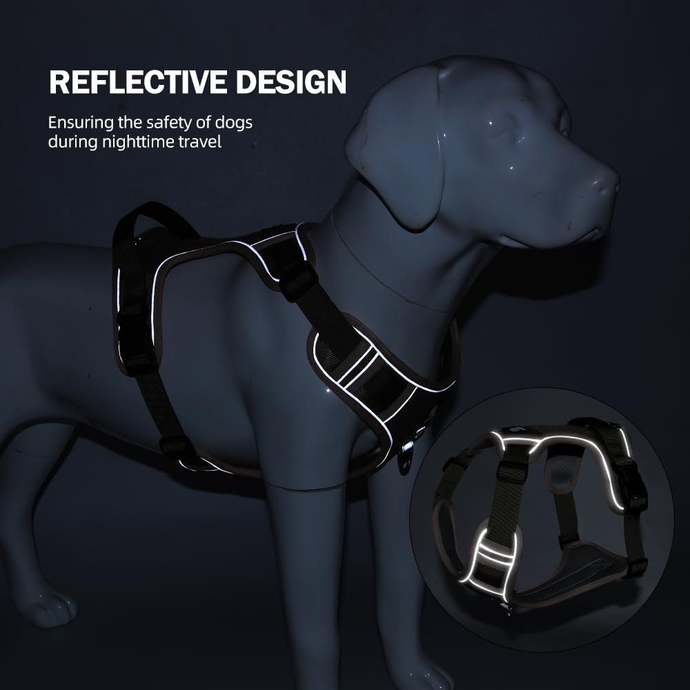 No Pull Dog Harness, Adjustable Reflective Vest with Front & Back Leash Clips, Secure Comfortable Fit for Medium & Large Dogs (Purple/Green) M - image 6