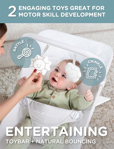 Image of Baby Delight Alpine Deluxe Portable Bouncer, Driftwood Grey | For Infant 0 - 6 months, 3-Position Recline, 3-Point Safety Harness, Removable & Washable Cover, Detachable Toy Bar