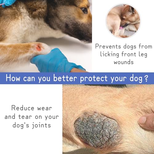 Image of Dog Elbow Protector Suit, Dog Recovery Sleeve with Elbow Protector,Dog Front Leg Surgery Recovery Clothes,Prevent Licking Wound(Green horse-2xl)