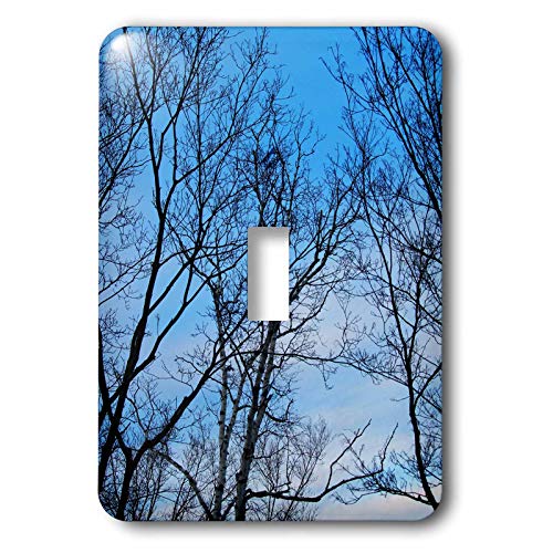 Interrupteur à bascule unique trees beautiful blue sky décor mural multicolore pour maison - 2