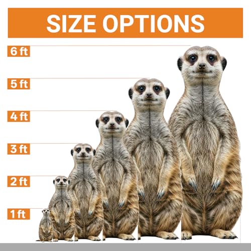Image of Meerkat1 Life Size Cardboard Cutout, 4FT, Party Decor, 1 PC | Cardboard Meerkat1 Animal Standup for Events, Birthday, Photos, Holiday, Wedding, Party, School Events