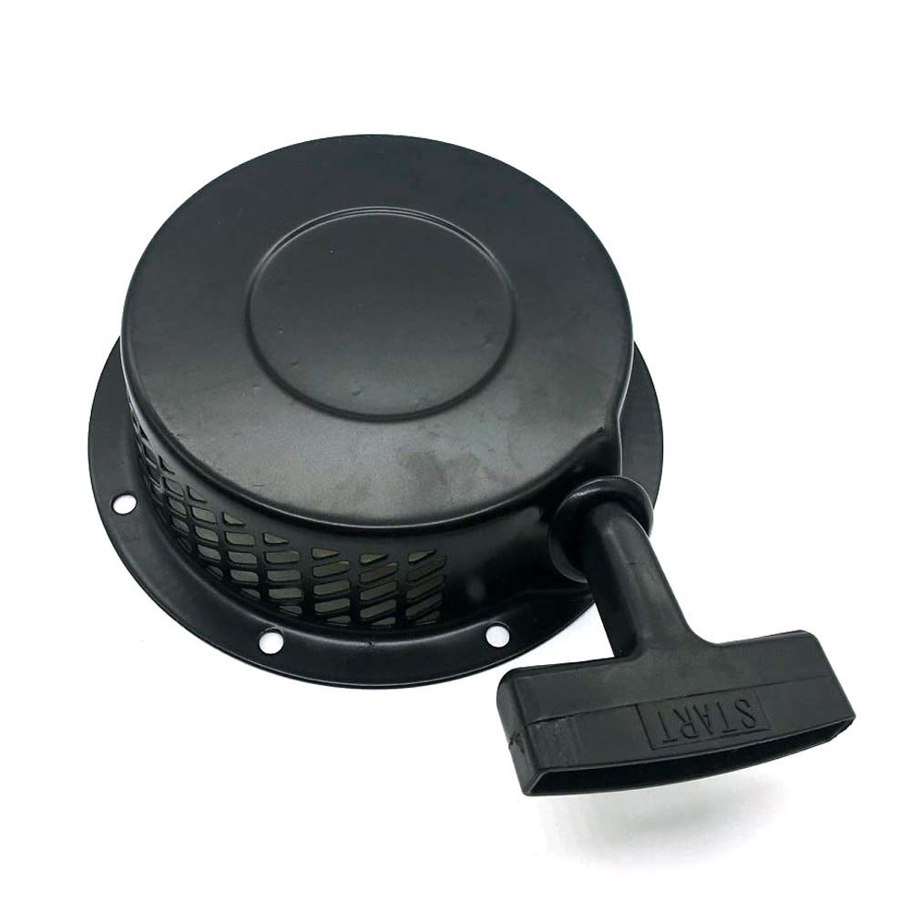 AM Carburateur avec joint pour tondeuse Einhell N-BM 46HW/1P68F
