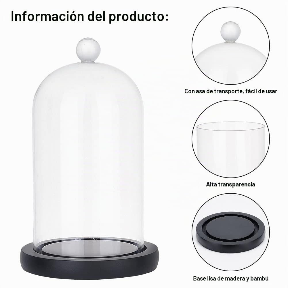 PH PandaHall Vitrina de cristal con base de madera, botellas de decoración de vidrio para plantas, exhibición de flores, arcilla, suculentas, almacenamiento, hogar, decoración, 4.3x7.2 pulgadas