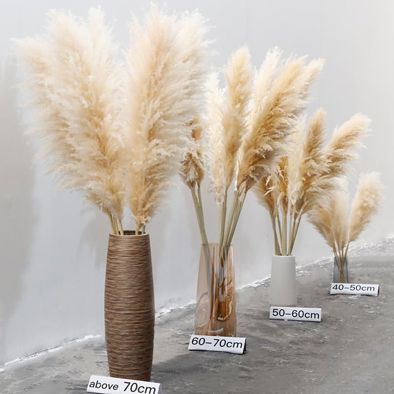 Pampas Grass Large 10PCS Plume 40-50cm miniatura 3