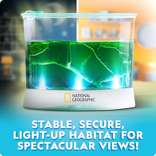 National Geographic Ant Habitat Kit - Light-Up Ant Terrarium with Built-in Magnifiers, Tunnel Starter Tool & More, Ant Activities for Kids, Ant Home, Ant Colony, Ant Habitat, Ant House for Kids - Image 3