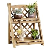YIZHI MIAOW Ladder Plant Stand with Grid Coffee 2-Tier Wooden Planter Holder Flower Pot Display Shel