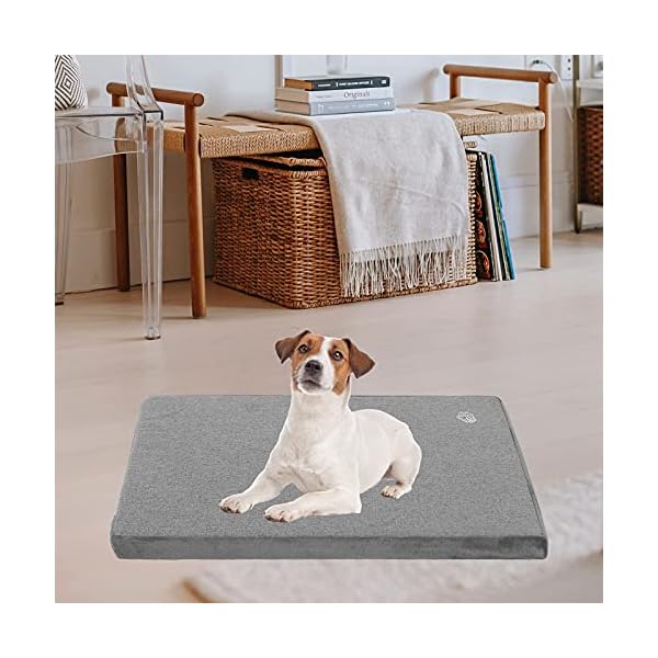 Stylish Dog Bed Mat