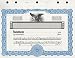 KG 3 Stock Certificate, Blue Border, Pack of 15