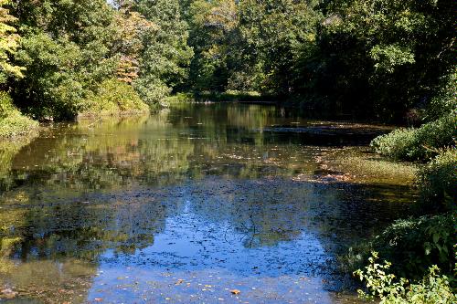 Review Image by Steven A. Hoagland