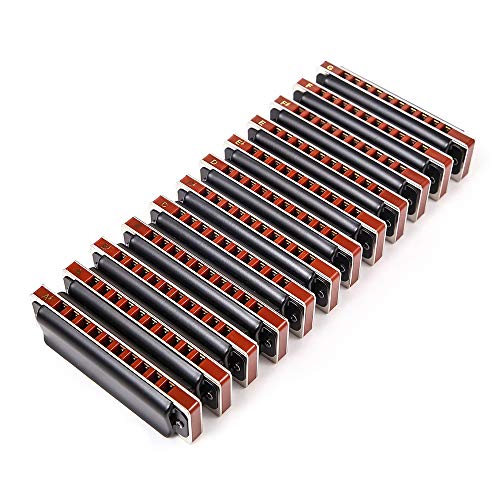 Easttop Harmonica diatonique Blues 10 trous 20 tons 008 K avec étui, plus professionnel pour débutants étudiants adultes… - Les Beatles, Paul McCartney, John Lennon, RIngo Starr, George Harrison Easttop Harmonica diatonique Blues 10 trous 20 tons 008 K avec étui, plus professionnel pour débutants étudiants adultes… – Image 6