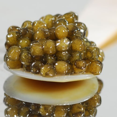 Osetra Golden Imperial Caviar Malossol – Whole, 17.6 oz (500 g)