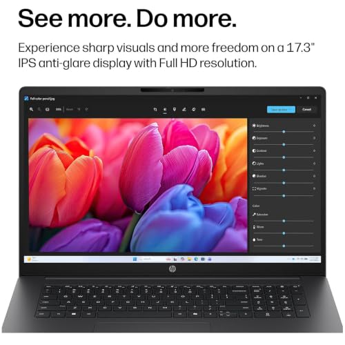 Image of HP OmniBook 3 Laptop, 17.3 inch Full HD Display, AMD Ryzen 3 30 Processor, 8GB LPDDR5 Memory, 2TB NVMe SSD, Backlit Keyboard, 1080p Webcam with Privacy Shutter, USB-C, Wi-Fi 6, Windows 11 Home