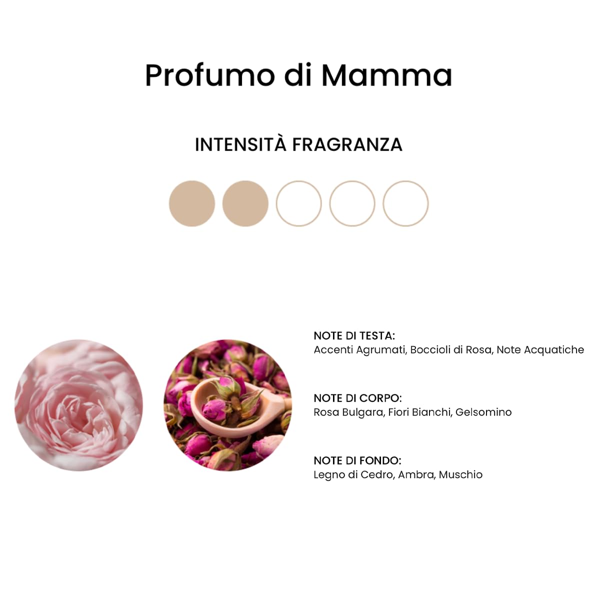 ACCENDILA CANDLE Ansia - Candela Profumata, Kumquat E | FindTheDeal - 2