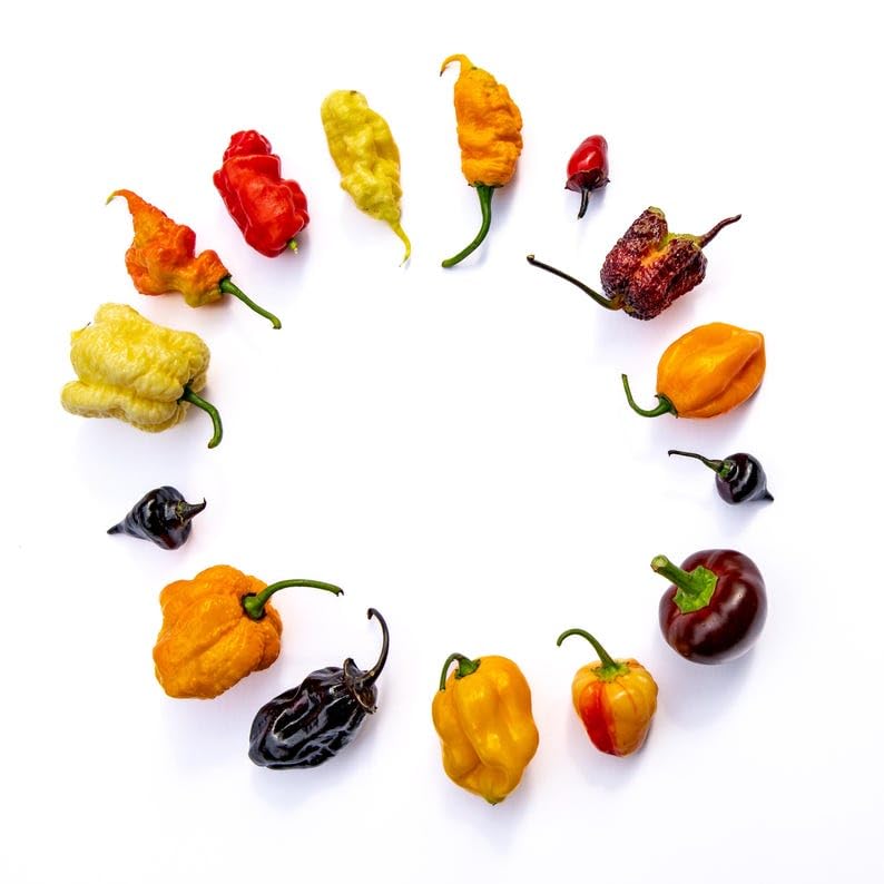 Amazon.com : T Rex T-Rex Red (Douglah 7 Pot and Bhutlah Hybrid
