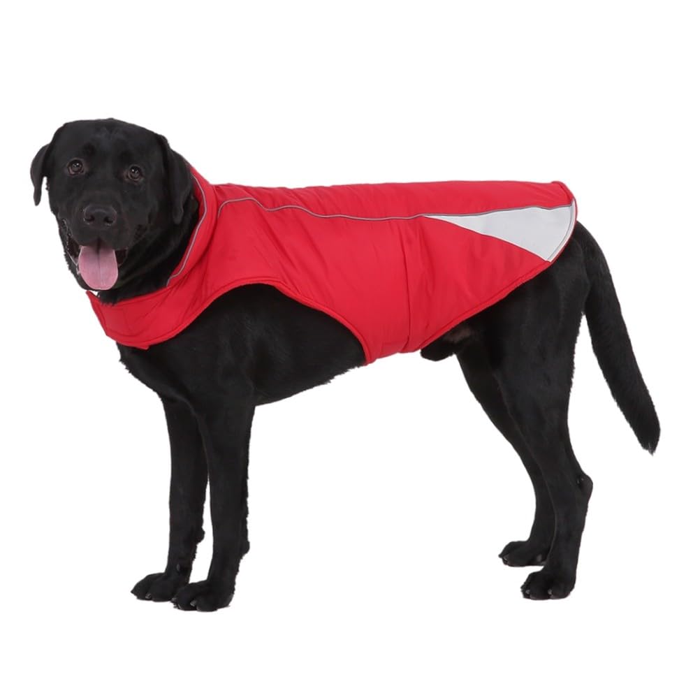 Manteaux pour chiens teckel protégeant le dos des animaux