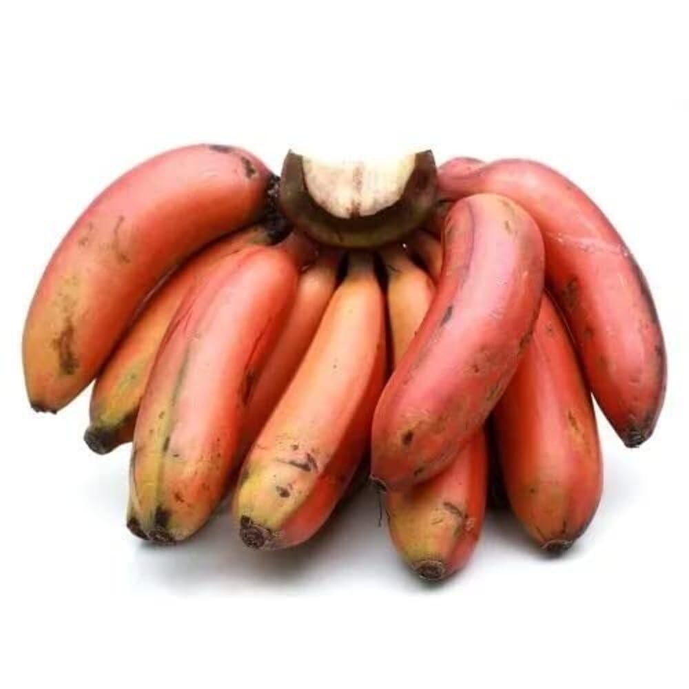 Banana, Red, 500g