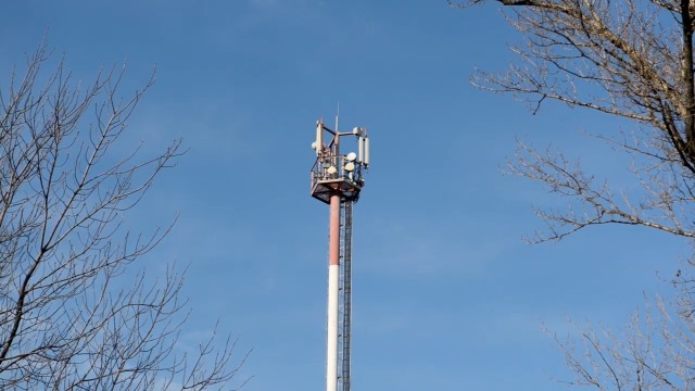 Amazon.com: Spinor Forpost-1 Protección contra radiación