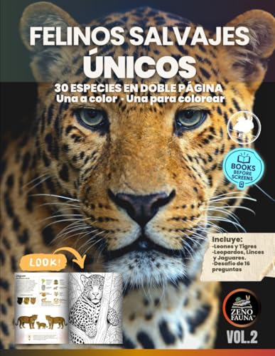 Felinos Salvajes Únicos: Libro ilustrado educativo con 30 felinos salvajes únicos: fichas culturales a color y páginas para colorear, ideal para niños, jóvenes y familias curiosas Felinos Salvajes Únicos: Libro ilustrado educativo con 30 felinos salvajes únicos: fichas culturales a color y páginas para colorear, ideal para niños, jóvenes y familias curiosas