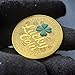 Lucky Coin Charm with Four-Leaf-Clover Inspirational Pocket Token for Encouragement Gifts Good Luck Challenge Coin with Protective Case Motivational Keepsake Medallion 1.57