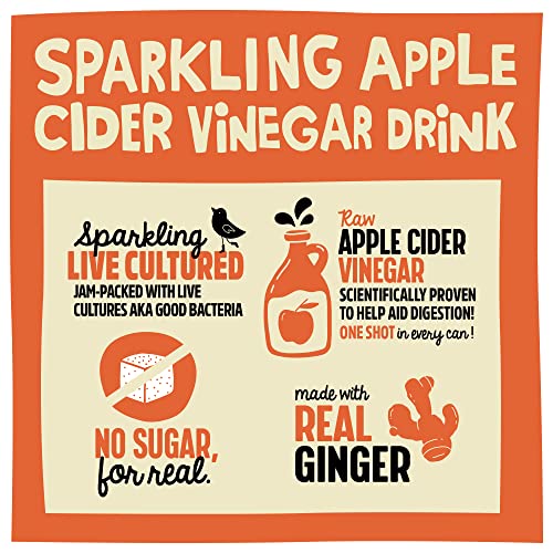 image for REMEDY Kombucha Remedy Apple Cider Vinegar Drink- Sugar Free, Raw, USD