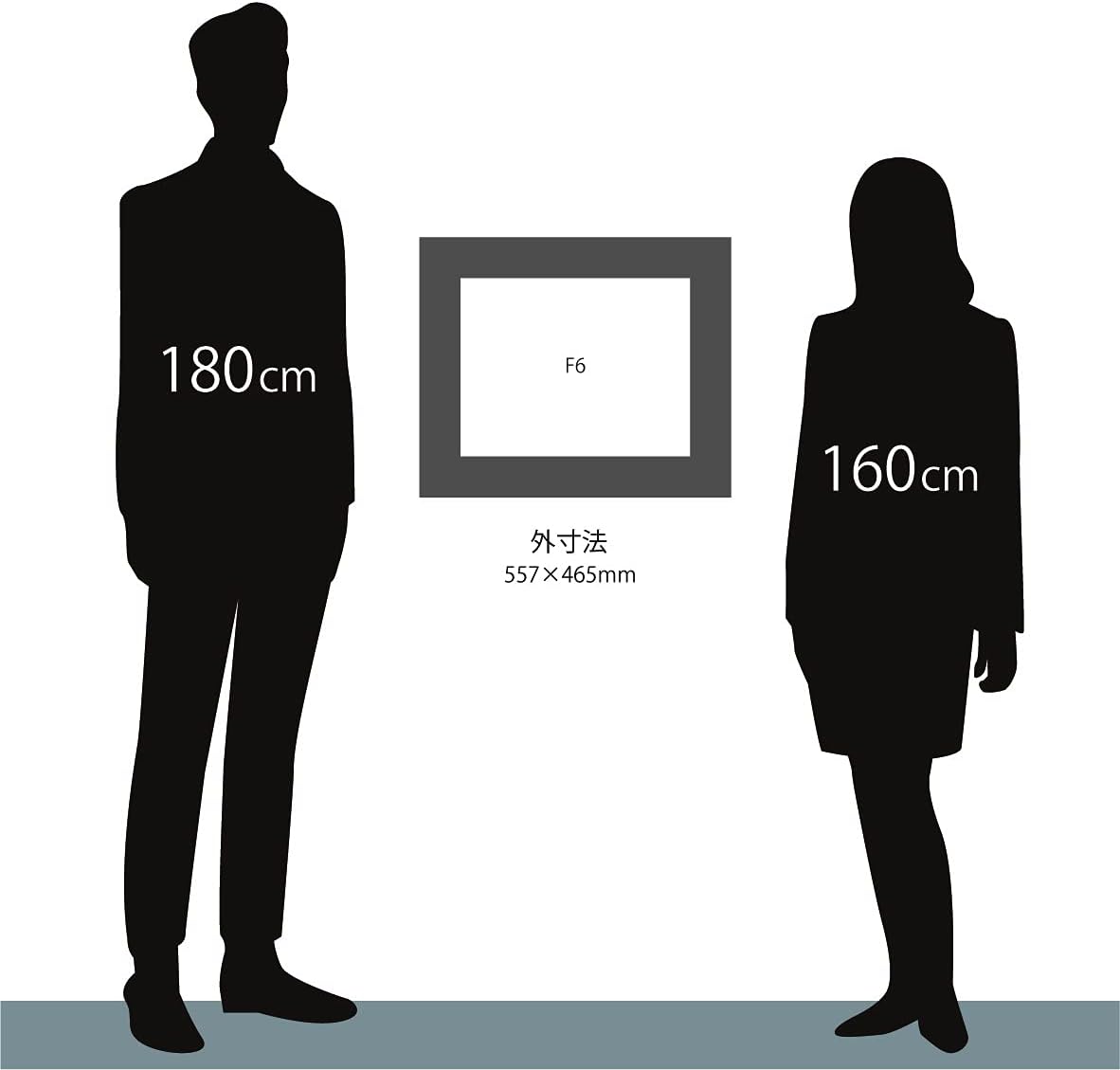 大額 油額 3463 F6 ダークブラウン 額縁販売.jp / 3463 シルバー