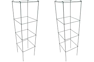 Green Square Tomato Cage: Enhanced Plant Support for Vertical Growth