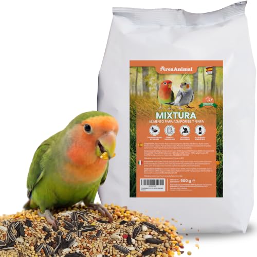 AreaAnimal - Comida Agapornis y Ninfas 900G, Comida Ninfas y Agapornis | Pienso agapornis y pienso para ninfas, mixtura de semillas variadas, comida para agapornis y ninfa, alimento diario