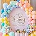 A Little Bunny is On The Way Sign Balloon Arch Decor Sticker，Baby Shower Party Rabbit Themed Decal Sign，Gender Reveal Party Decorations, for Spring Easter Rabbit Themed Baby Shower