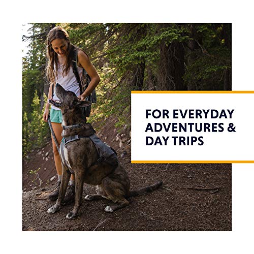 RUFFWEAR Switchbak Every-Day Dog Harness with Pockets - Image 2