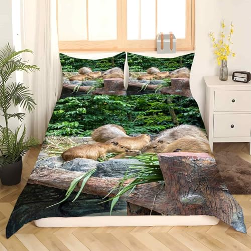 Parure de lit Capybara 90x190 microfibre facile à laver sans repassage - 3