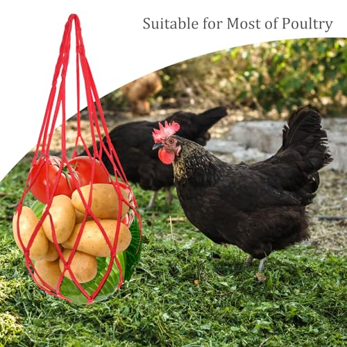 Alimentador de frango pendurado para galinha e legumes, dispensador de guloseimas de frango, suporte