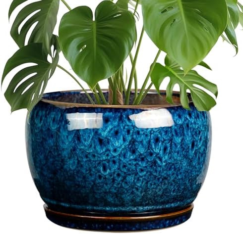 SQOWL 10 Inch Plant Pot - Ceramic Planter Pot with Drainage Hole ...