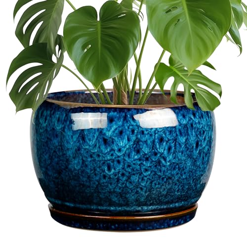 Comparison: Best Pots For Monstera 10 SQOWL 10 Inch Plant Pot - Ceramic Planter Pot with Drainage Hole and Saucer, Decorative Plant Pot for Indoor Outdoor Plants, Round Large Planter Flower Pot, Blue