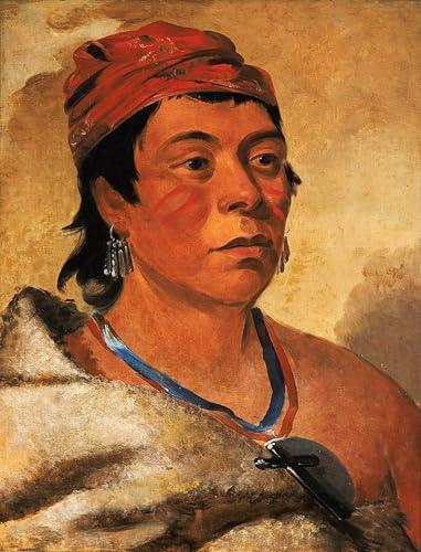 Affiche George Catlin L'Île Ronde et les Guerrières Toile Salon 60x90cm