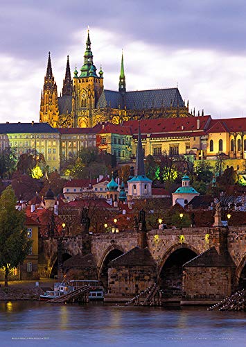 Dimart Poster del Puente de Carlos y el Castillo de Praga en Praga (noche), República Checa