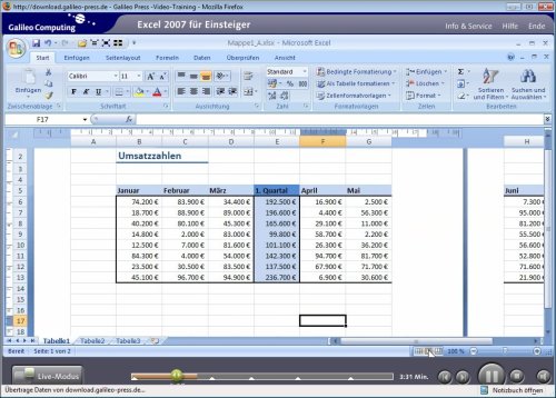 Excel 2007: In 8 Stunden Excel sicher beherrschen – alle Werkzeuge im praktischen Einsatz erklärt (Galileo Computing)