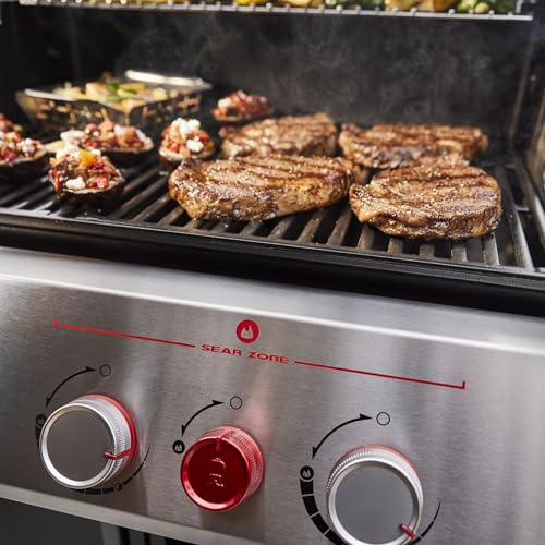Image of Weber Genesis E-415 Liquid Propane Gas Grill for Outdoor Cooking, 4 Burners, Black - Porcelain-Enameled Cast-Iron Grates & PureBlu Burners