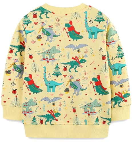 Mrocioa Toddler Boy Girls Sweatshirt Ugly Christmas Sweater Style Reindeer Shirt Kids Xmas Holiday Tops2