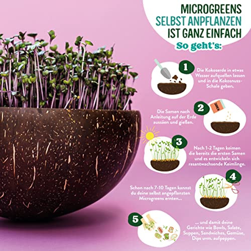 valeaf BIO Microgreens Anzuchtset I Starter Kit zur Sprossen Samen Anzucht I Microgreens Anzucht Sprossensamen I Sprossen Set zum Sprossen selber Züchten I Mikrogrün Samen