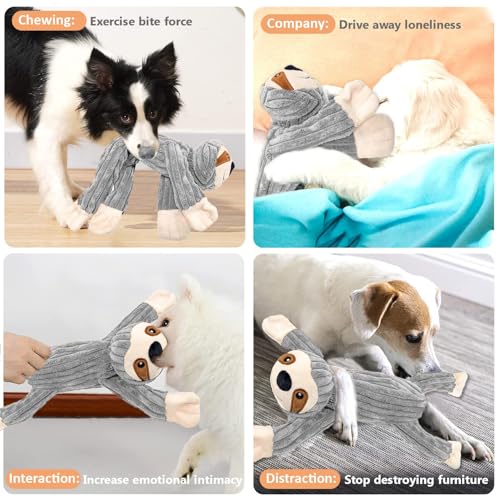 Hundespielzeug, Intelligenz Welpenspielzeug Interaktives Plüsch Kuscheltier Hunde Spielzeug für Welpen Kleine Mittlere Große Hunde Kuscheltier mit Seil