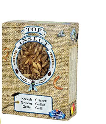 Kiezebrink Frozen Crickets 1 L