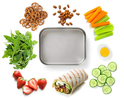 Image of Bits Kits Stainless Steel Bento Box Lunch and Snack Container for Kids and Adults, 1 Compartment, 3 Cup Capacity, Color-Silver