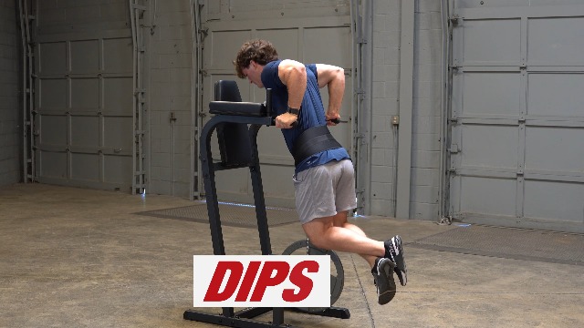 Amazon.com : Body-Solid (GVKR60) Vertical Knee Raise with Dip